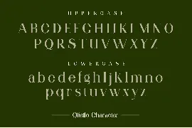 Qitello Ligature Serif Typeface font