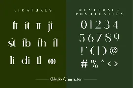 Qitello Ligature Serif Typeface font