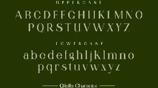 Qitello Ligature Serif Typeface font