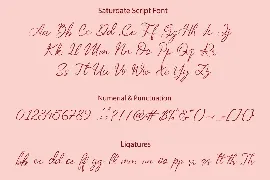 Saturdate font