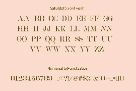 Saturdate font