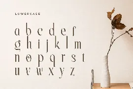 Erlangga - Elegant Beauty Serif Font