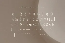 Erlangga - Elegant Beauty Serif Font