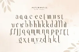 Erlangga - Elegant Beauty Serif Font