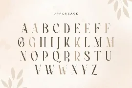 Erlangga - Elegant Beauty Serif Font