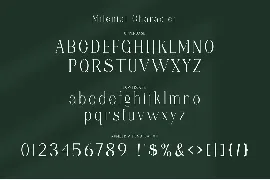 Milenial Serif Typeface font