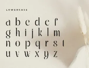 Quning - Modern Classy Elegant Font