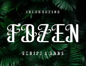 Fozen Font