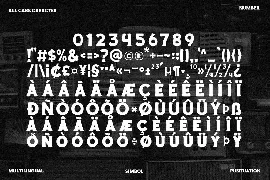 Flockey font