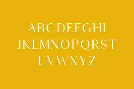 Thomas Mag Serif Font Family Pack