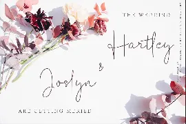 Anthanista | 3 Stylish Handwritten font