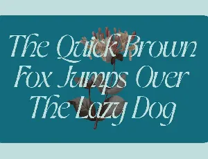 Alter Quick font