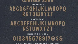 Ganiser Sans font