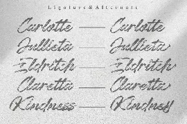 Chaletliness | Modern Script Brush font