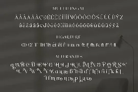 Merilia - Modern Serif Font