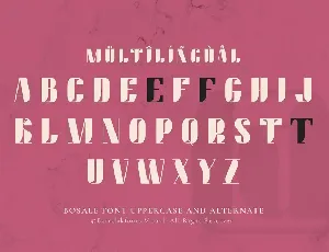 Bosale - Serif Bold Displat Font