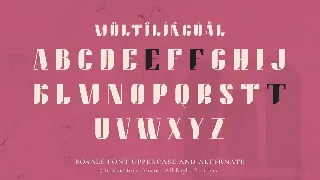 Bosale - Serif Bold Displat Font