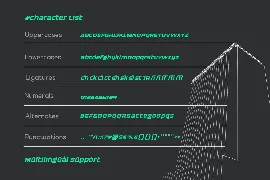 Grafinco - Sport Racing Bold Sans Serif font