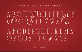 Shalome font