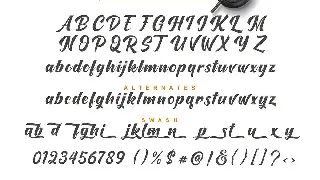 Onetime Script font