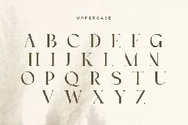 Monica - Modern Elegant Serif Font