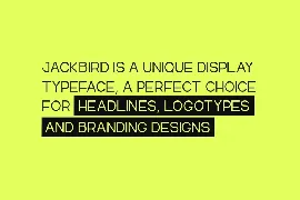 Jackbird - Modern Display / Headline Typeface font