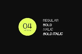 Jackbird - Modern Display / Headline Typeface font