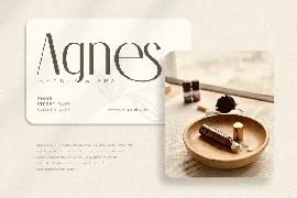 Bridge - Modern Feminine Sans Serif font