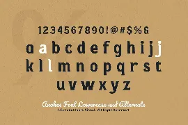 Anokes - Bold Serif Displat Font