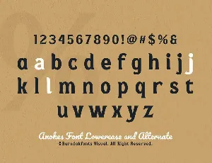 Anokes - Bold Serif Displat Font