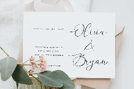 Stelly Calligraphy Font