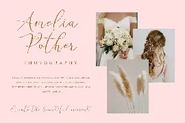 Stelly Calligraphy Font