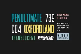 RODGE - Unique Display / Headline Typeface font