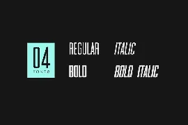 RODGE - Unique Display / Headline Typeface font