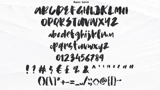 Hawkey Brush Font