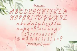 Feny Anjany - Handwritten Font