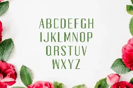 Jadrien Duo Font Pack