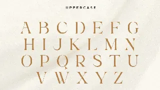 Kumar - Unique Beauty Serif Font