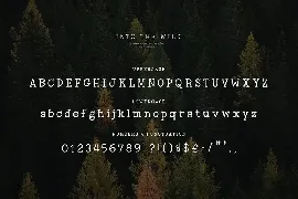 Into the Wild Font