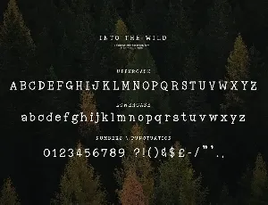 Into the Wild Font