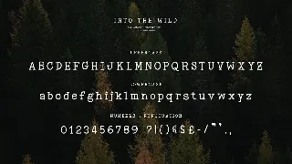 Into the Wild Font