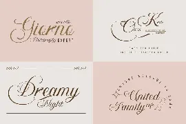 Bidena | Script Font