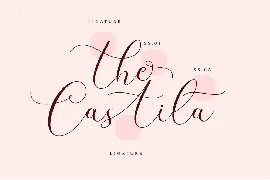 Dear Shinta Modern Calligraphy Script font