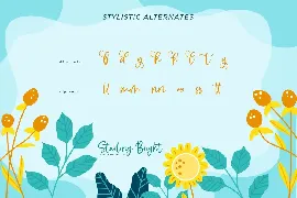 Starling Bright-Elegant Handwritten Font