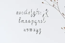 Erica Script Font