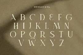 Maharani - Modern Display Serif Font