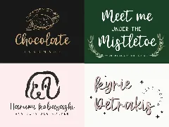 Organic Delight Handwritten Font Duo