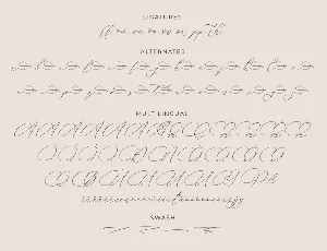 Andaluse Selioth Script Font