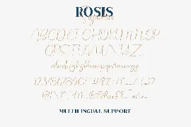 Rosis & Ballroom - Font Duo