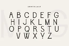 Flamboyan - Feminine Modern Display Font